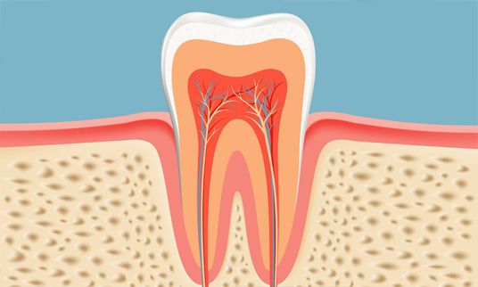 Pulpectomy